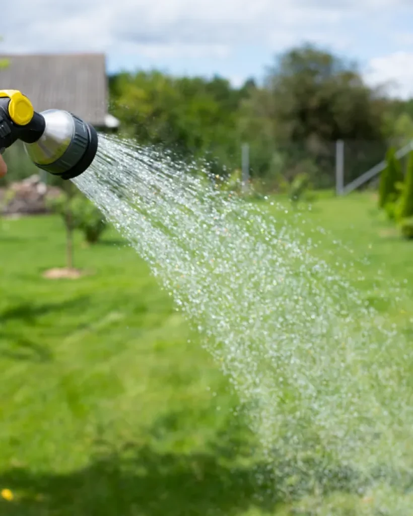 garden-hose-with-a-sprayer-pours-water-on-the-lawn-2026-01-08-05-26-16-utc