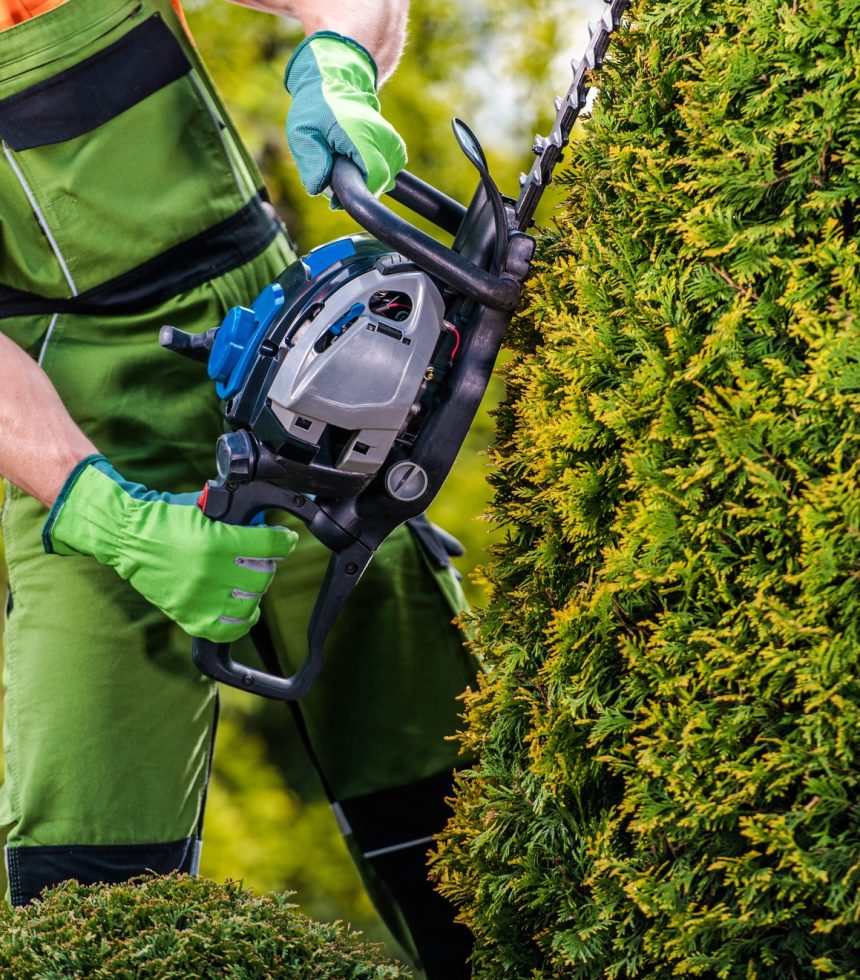 gardener-topiary-job.jpg