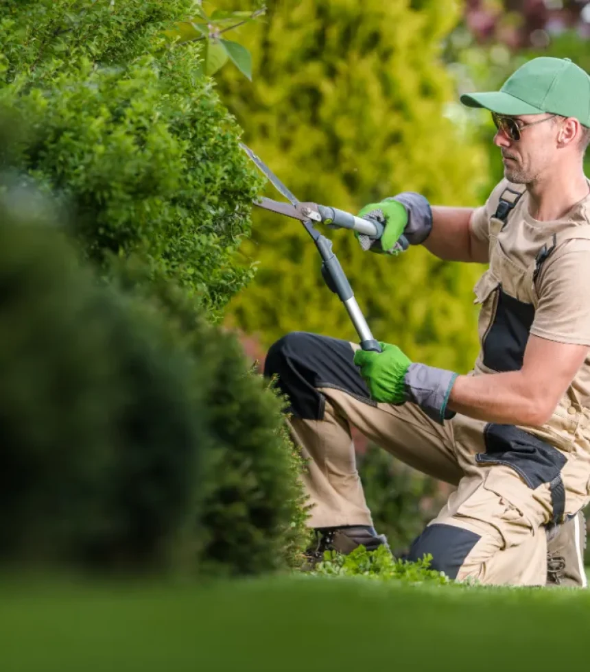 professional-gardener-performing-garden-plants-mai-2026-01-09-08-16-05-utc